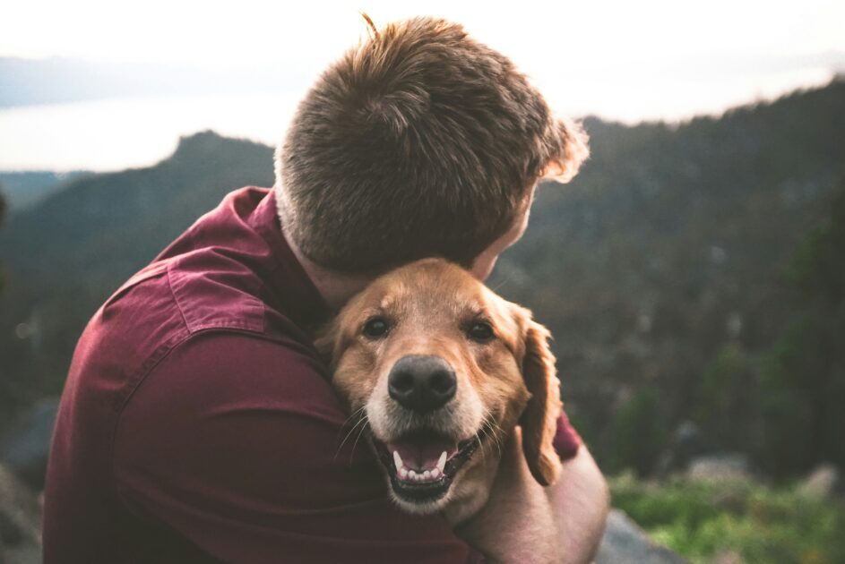 人物と犬