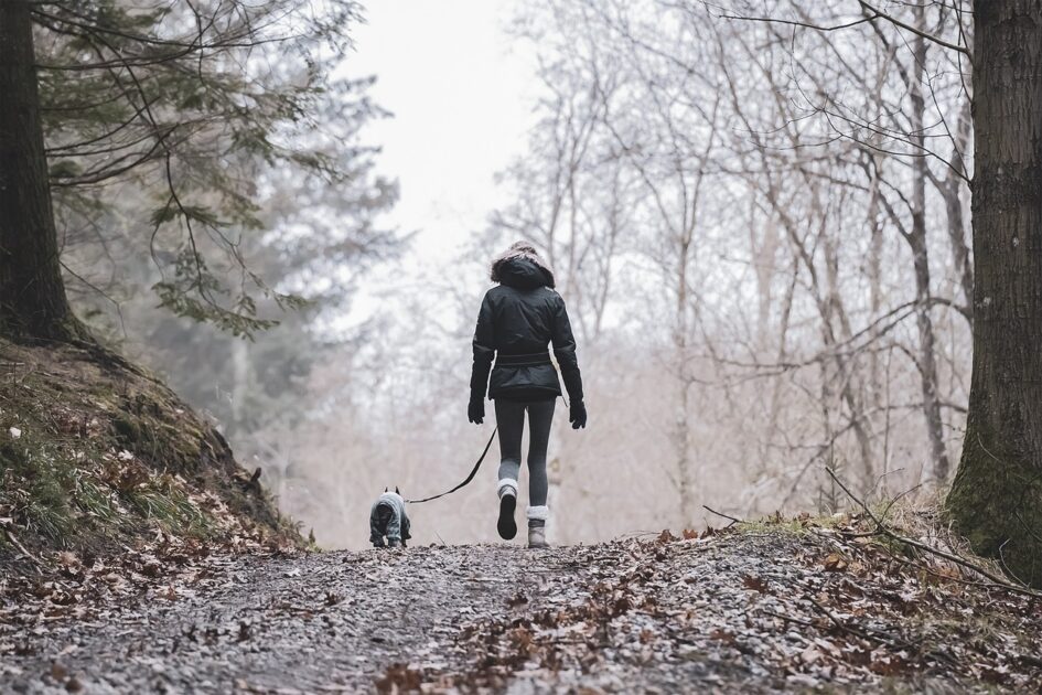 人物と犬