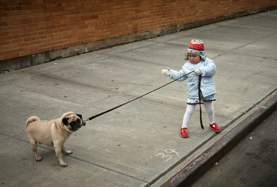 子供と犬